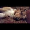 sammy03101